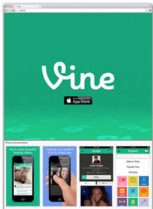 Vine