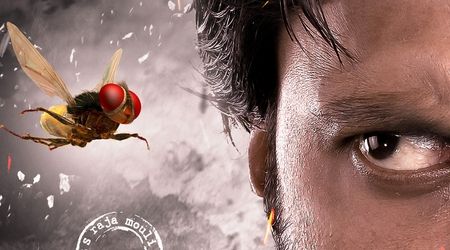 [每日电影推荐]《功夫小蝇》_网易电影|网易娱乐