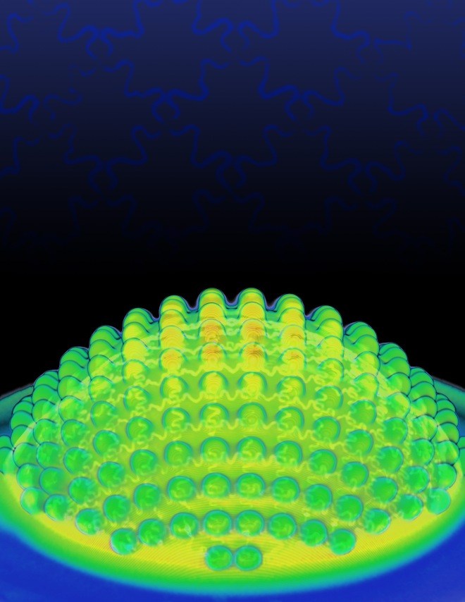 伯斯特和普莱特在评论中表示：“微型飞行器能够在灾害救援方面发挥巨大作用。采用人造复眼的微型飞行器能够在倒塌建筑内自行导航，借助所搭载的传感器对周围环境进行探测，搜寻烟雾、辐射或者被困在碎石瓦砾下的人员。”在研制这种飞行器过程中，工程师可能需要找到某种方式，避免飞行器被人误认为昆虫并遭受攻击，以确保飞行器的安全。