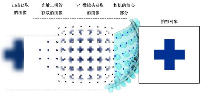 不同成像技术获取的图像对比。仿生复眼技术在监视设备、内视镜以及微型飞行器等领域拥有广泛应用前景。