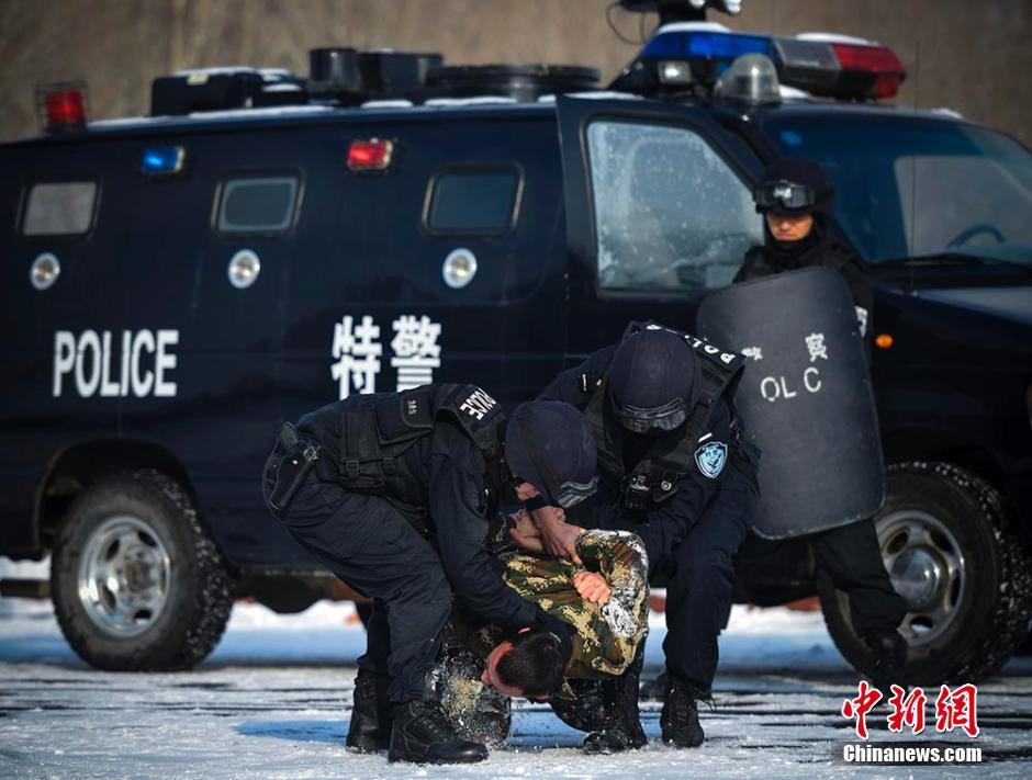 　　岁末年尾，新疆首府乌鲁木齐市低温降至零下10余摄氏度，乌鲁木齐市公安局特警八支队所属的飞虎突击队在驻地附近的树林中模拟场景进行反恐搜捕演练，飞虎队员5人一组，组成搜捕队形，在林雪中进行地毯式搜索。刘新 摄