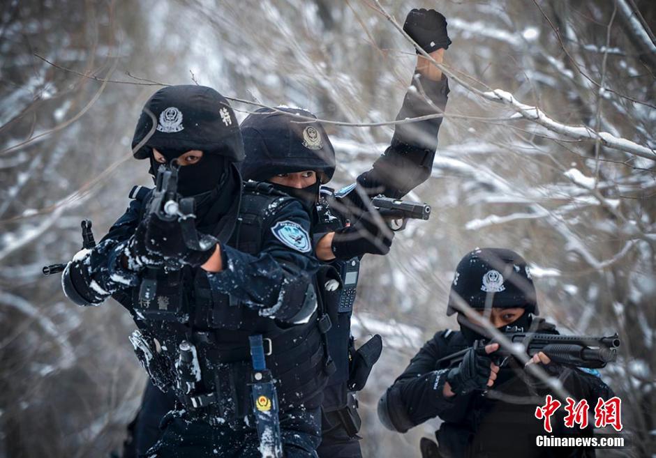 　　岁末年尾，新疆首府乌鲁木齐市低温降至零下10余摄氏度，乌鲁木齐市公安局特警八支队所属的飞虎突击队在驻地附近的树林中模拟场景进行反恐搜捕演练，飞虎队员5人一组，组成搜捕队形，在林雪中进行地毯式搜索。据了解，特警八支队是一支快速反应力量，主要职能是处置暴力恐怖犯罪事件、严重暴力性犯罪事件、大规模群众滋事等重大治安事件。刘新 摄