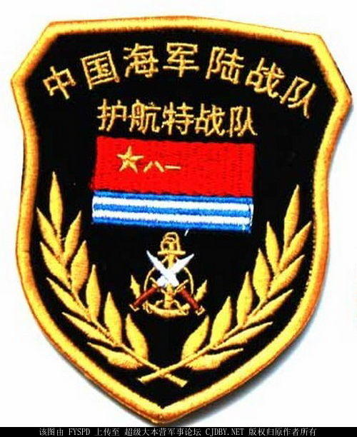 海军陆战队护航特战队臂章，第九批使用。