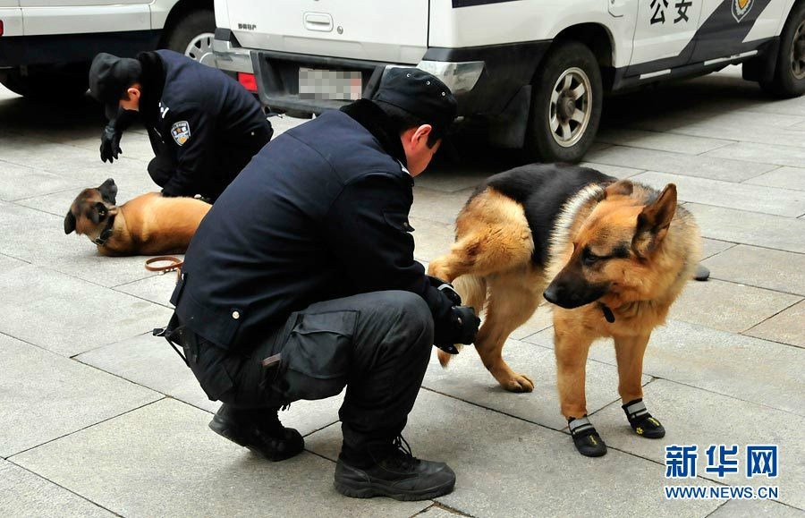 警犬：具有人类和其它仪器所无法替代的独特功能。重点地区街面携犬巡逻防控工作主要发挥了德国牧羊犬、比利时牧羊犬等大型警犬的震慑、扑咬、搜爆作用，强化反恐维稳打防效果，提高安全感。