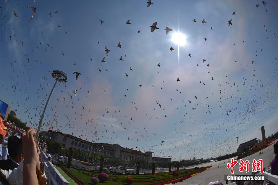 9月3日，纪念中国人民抗日战争暨世界反法西斯战争胜利70周年大会在北京隆重举行。图为放飞和平鸽。中新社记者 金硕 摄（来源：http://www.chinanews.com/tp/hd2011/2015/09-03/559422.shtml）