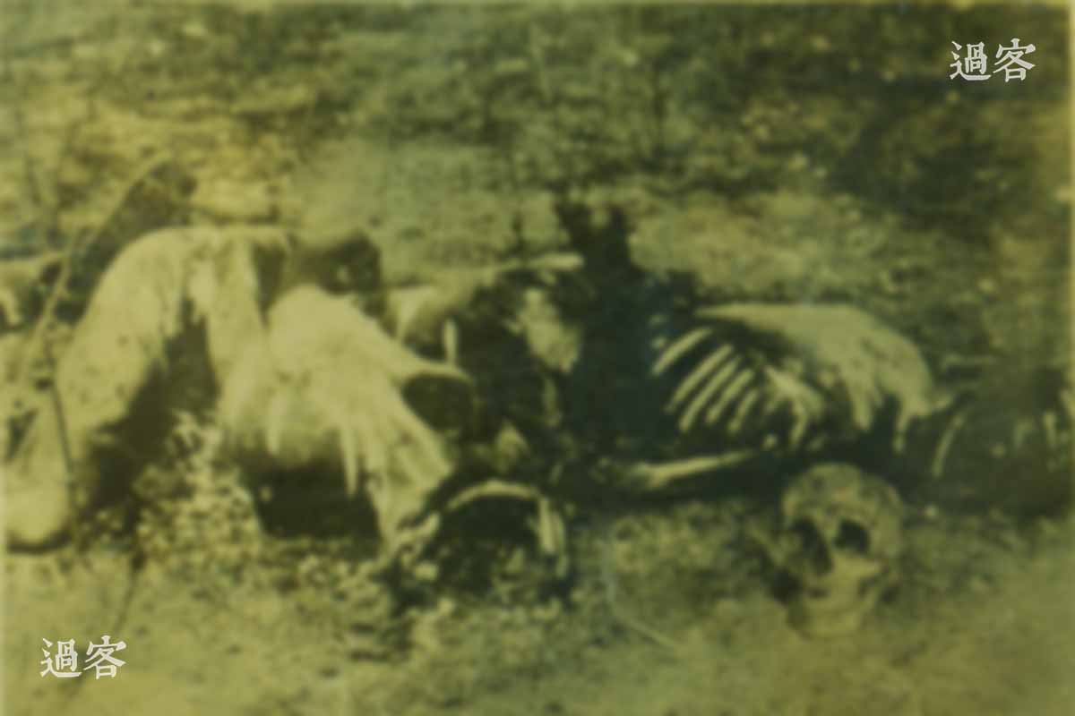 （怕引起网友不适，所以模糊处理了一下）这张照片的上半部分其实挺清晰，只是图中的尸体很模糊，左边是一个蜷缩着、右胳膊向后反绑的尸体，看样子是焚烧过的（尸体上遍体是表皮脱落后的白斑），而且头部只剩下血肉模糊的一半。右侧是一具高度腐烂的尸体，能依稀看出半个上身的肋骨和右肩只剩下白骨，头部也是一片焦黑的模糊。再加上右下角没有门牙的骷髅头，能推断这张照片里至少有两具尸体和三颗头颅，看样子都像是双手反绑然后正面朝下被烧死的。（来源：网易新媒体）