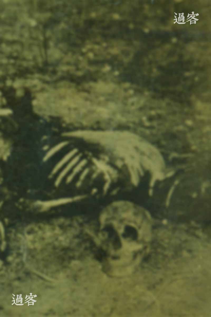 （怕引起网友不适，所以模糊处理了一下）乌克兰教授的推理是：至少两位受害者被近距离击中头部而死，所以头颅缺失严重而血肉模糊，受害者死后又被焚烧，所以才成了照片里的景象。不过，中国资深法医在仔细研究照片后，认为右边尸体并非火烧所致，受害人遗体胸部肋骨和右肱骨露出，应该是被用刀剔除上面的软组织所形成的，而那颗完整的头颅骨是放在锅里反复煮掉软组织才形成的。所以基本可以断定，受害人遗体曾受到了非人道的对待。（来源：网易新媒体）