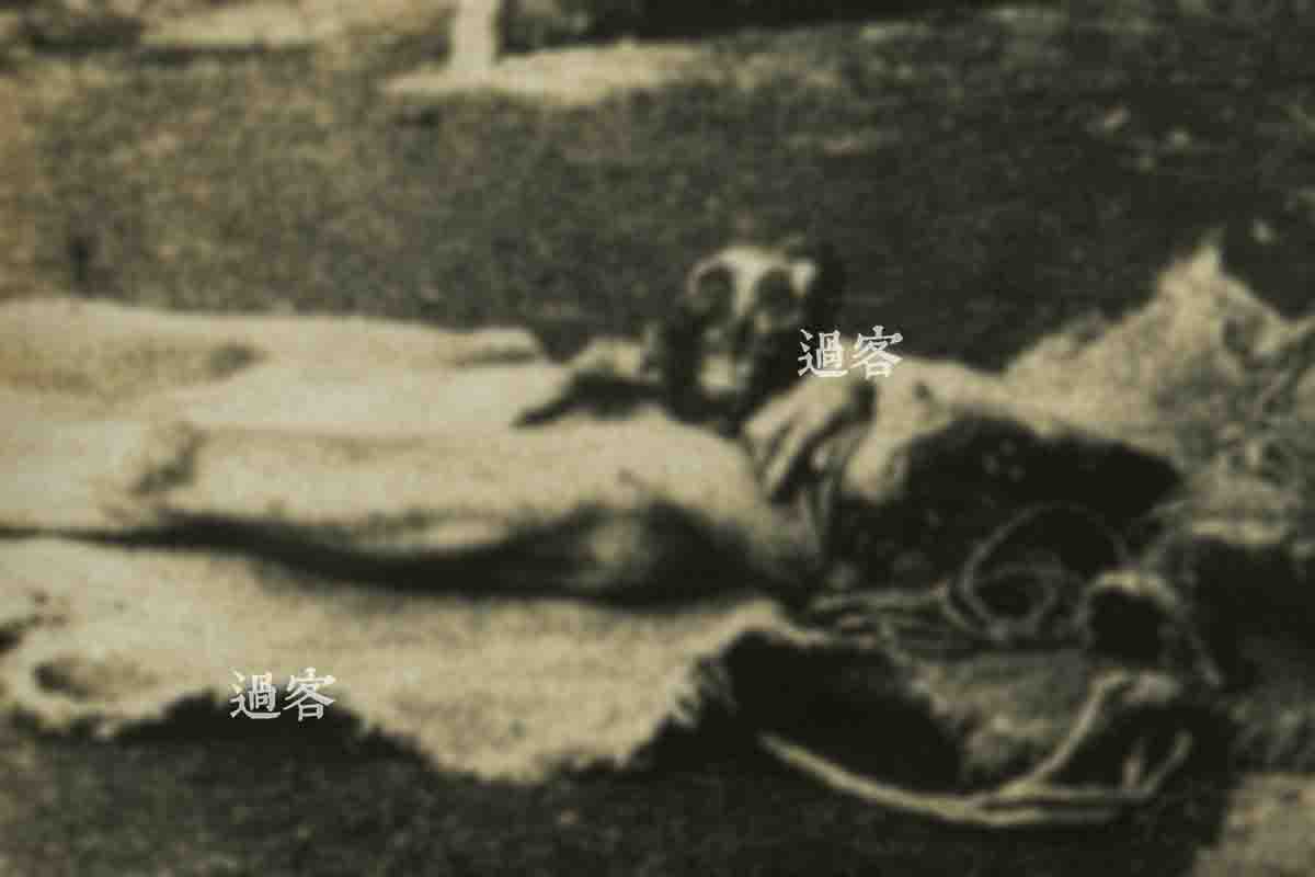 图片中能清晰看到两具尸体和两颗人头。左边这具放大看的话，从尸体的创面来看，伤口极不规则，隐约能看出从右肩到左边腰部之间消失了，很有可能是被炸掉的。而头颅放大来看的话，基本已成白骨，头骨后侧也少了一半，但是眼窝内和下巴、两腮的组织还在，只是已经焦黑，如果说这颗头颅是这具女尸的话，那受害者很有可能就是被炸死的，巨大的冲击力炸掉了半个上身和半个脑壳，然后炸药的威力和火焰将正面脸皮都掀掉和烧掉了，不过深层的组织还在。右边的尸体应该是一位青壮年男性的，而且这具尸体还出现在下面的照片中。（来源：网易新媒体）