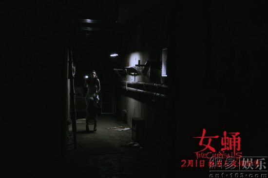 《女蛹》点映口碑好 观众酷评“尸恋33天”