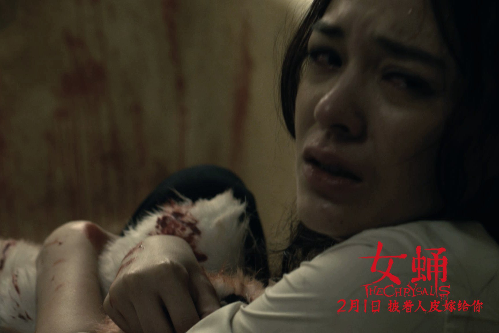 女蛹官方剧照
