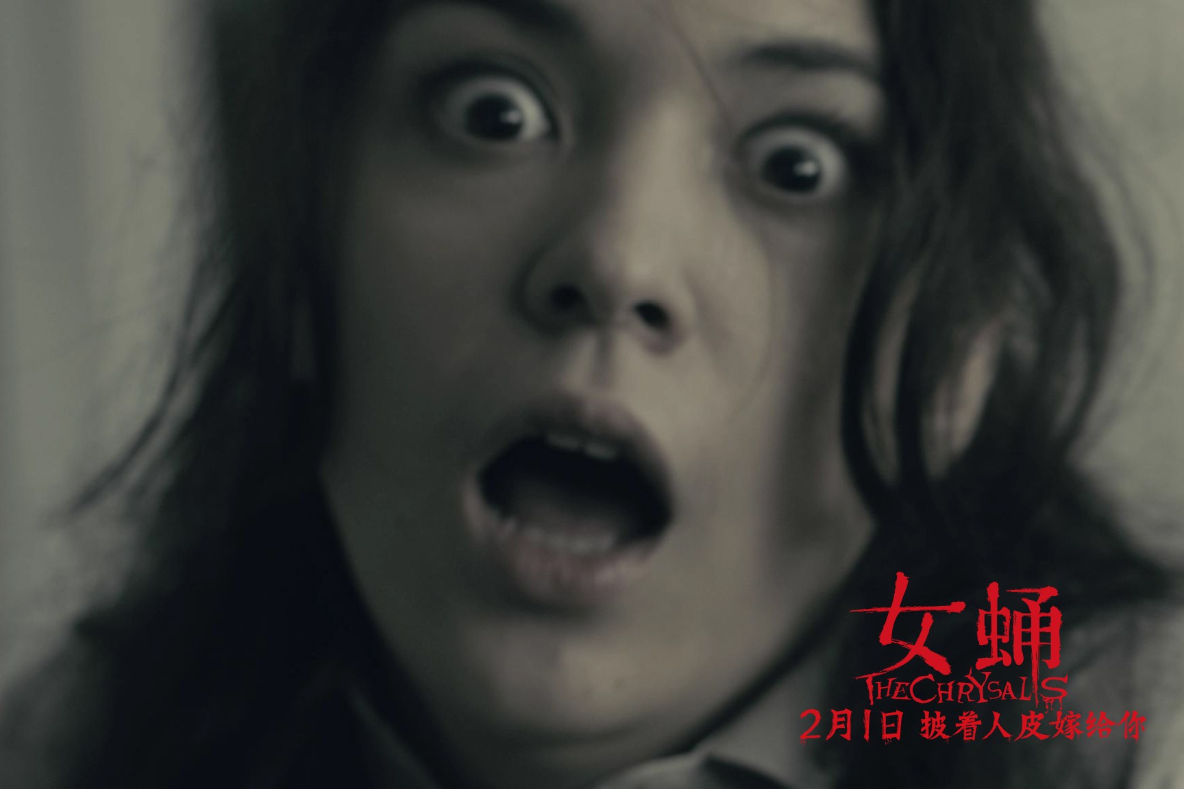 女蛹官方剧照
