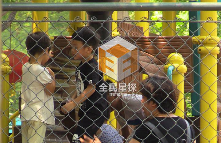 （来源：网易娱乐）