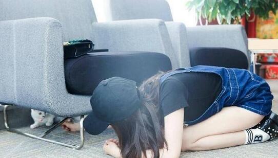 （来源：视觉中国）