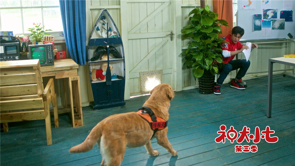 （来源：网易娱乐）