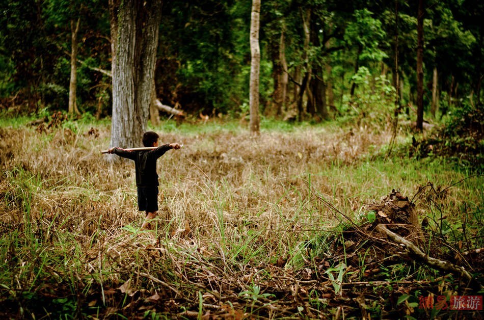 另类童年 柬埔寨贫困儿童捕食毒狼蛛