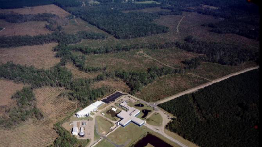 （来源：网易科技报道）