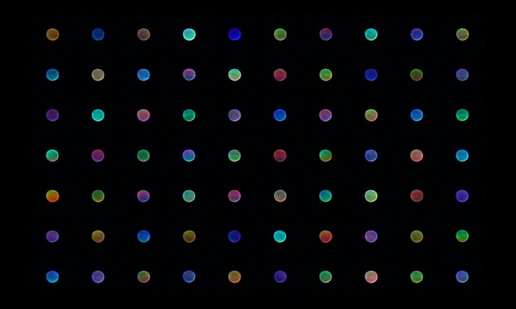 天狼星被称为“彩虹之星”，原因在于，它的光芒不断变幻，似乎呈现出彩虹的每种色彩。摄影师一直在探索展现这些色彩的最佳途径。经过多次试验，他想到以故意失焦的方式拍摄天狼星，这让天狼星光芒的漫射范围有所扩大，让变幻的色彩更加明显。（来源：网易科技）