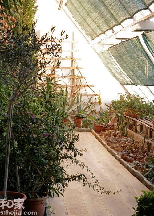 您家的木地板是什么颜色？如果还是传统的木纹色、胡桃色、淡棕色，那就有些“OUT”了，今年不仅流行“花地板”，还流行曲线拼花地板！将它做好防腐处理后，还能用到室内花园去，这种认真地和大自然贴近的地板，自然优美的曲线，受到很多年轻人的喜欢。（来源：和家网）