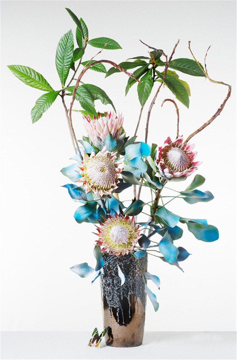 （来源：网易家居）