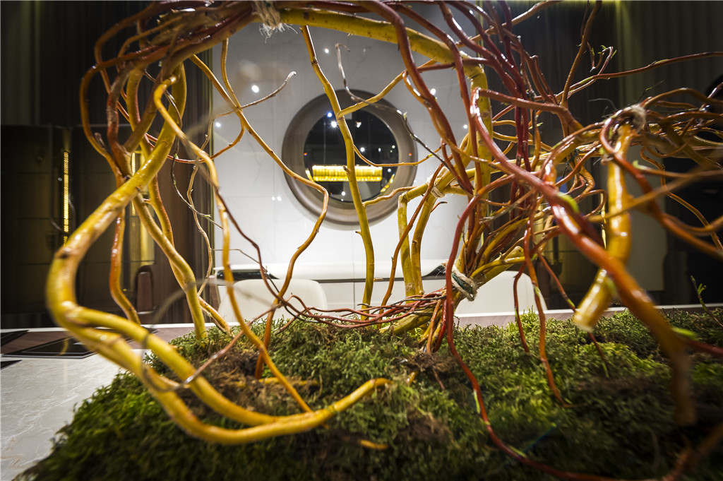 （来源：网易家居）