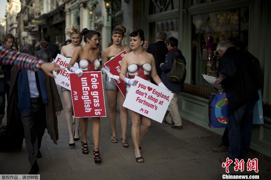 当地时间2013年4月23日，英国伦敦，PETA（善待动物组织）成员身上涂着圣乔治旗的彩绘图案，抗议福特纳姆和玛森公司销售鹅肝酱。