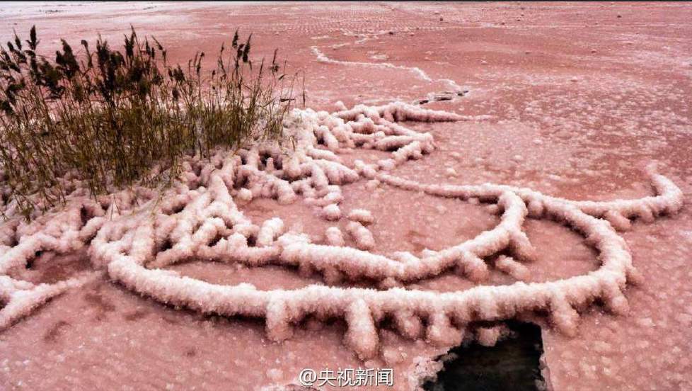 据央视新闻报道，近日受持续低温影响，山西运城盐池出现“硝凇”奇观。（来源：央视）