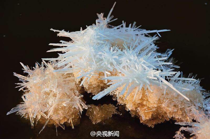 图为“硝凇”。（来源：央视）