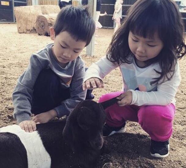 马蓉儿子女儿（资料图）（来源：网易娱乐）