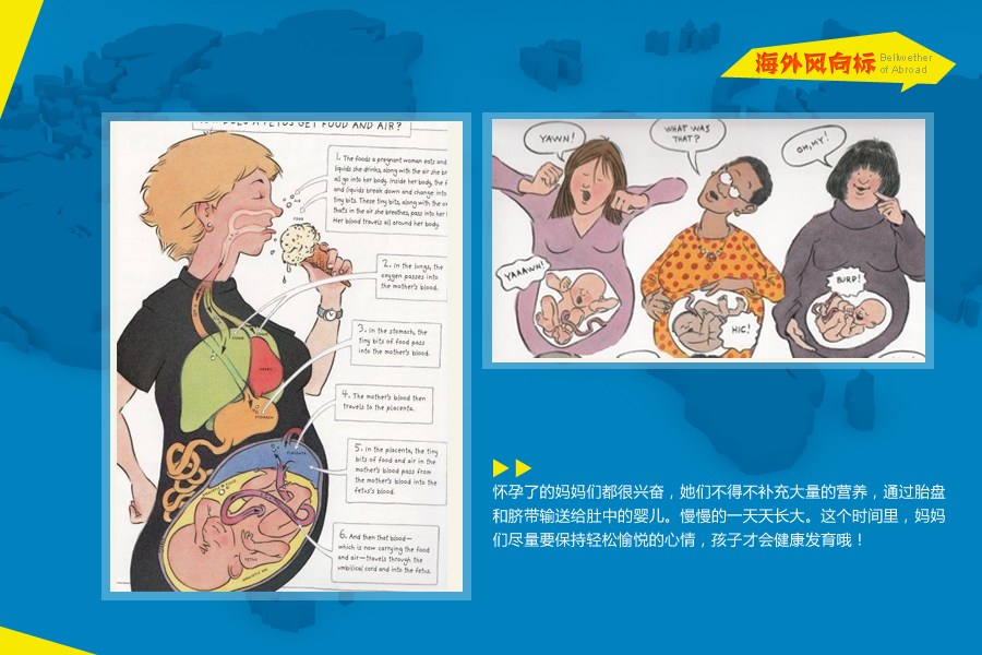 （来源：网易教育）