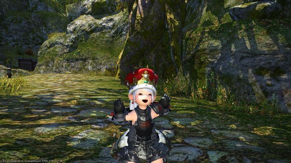 Ff14拉拉菲尔种族萝莉全职业外观图欣赏 手机网易网