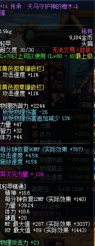 DNF黑暗武士亡誓装备展示