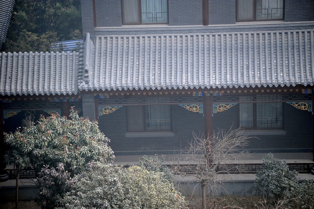 近日，谷俊山在河南濮阳的住宅图片曝光，这栋住宅被当地居民称为“将军府”。“将军府”系2006年谷献军占用东白仓村十三四亩集体土地所建。有村委会成员说，当时占地没有任何手续，至于后来有无补办用地手续，无人知晓。