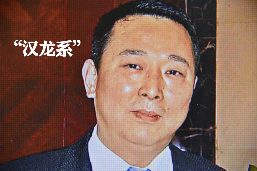 近20年来，刘汉通过高超的资本手法和深厚的政商关系，积累下数百亿财富。其实际控制的汉龙集团，与堂兄刘沧龙旗下的宏达集团等众多关联公司形成了资本市场“汉龙系”,金路集团即是汉龙系旗下的资本平台之一。“汉龙系”被称为“四川小德隆”。