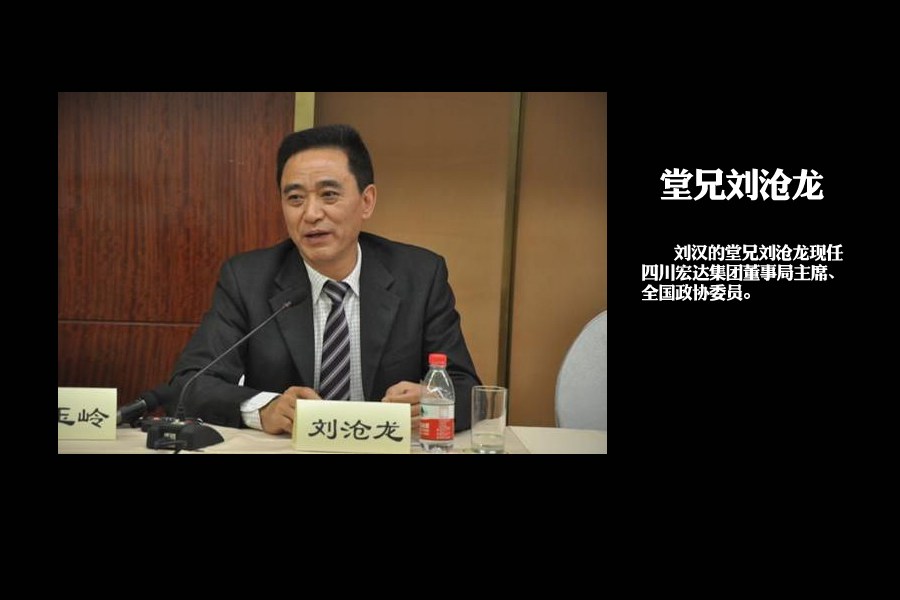 刘汉的堂兄刘沧龙现任四川宏达集团董事局主席、全国政协委员。曾任中华全国工商业联合会副主席。宏达集团的业务范围涉及工业、贸易、地产、金融产业等，其中矿产资源是重要一环，公司正在开发资源储量世界第二的云南兰坪铅锌矿、资源储量世界第三的哈萨克斯坦夏尔克亚铅锌矿等。有业内人士称，宏达集团持有的矿产都是“抢手货”，一定是背景很深的企业才能拿到探矿权和采矿权。