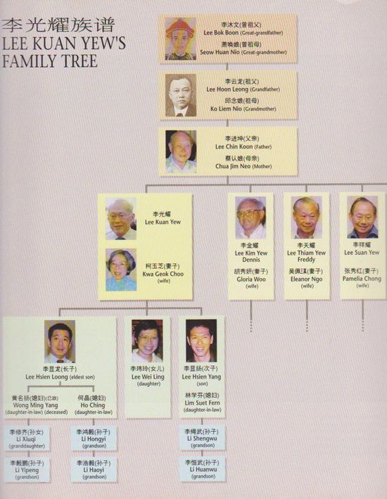 新加坡之父李光耀将新加坡建成如自己那般坚定而又理性的国家。李光耀，GCMG，CH（Lee Kuan Yew）（1923年9月16日（癸亥年）—），新加坡华人，新加坡前总理（开国元首）、新加坡最高领导人，曾任国务资政以及内阁资政。祖籍广东省梅州市大埔县高陂镇党溪乡。新加坡莱佛士学院毕业。（来源：国际在线）