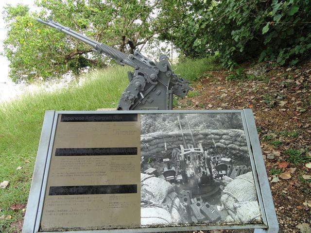 96式25毫米机关炮属于日本将法国哈奇开斯机关炮引进到国内生产的一种版本，有三联装、双联装和单管几种配置，大和号上的绝大多数这种炮采用三联装方式。