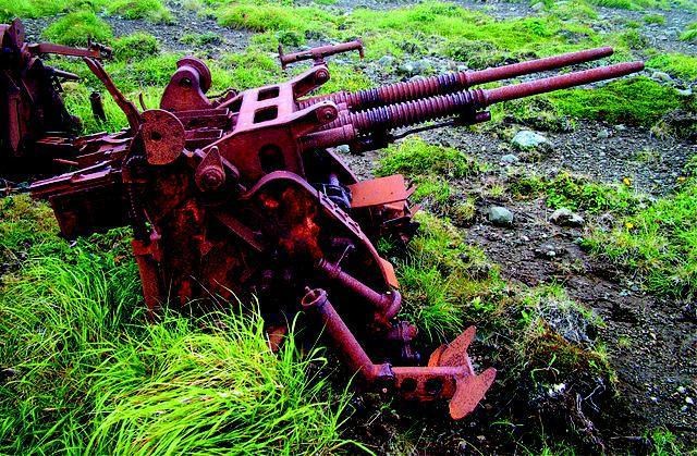 图为一门草丛里面的96式25毫米机关炮，这门炮早已经不能用了。每当看到这种机关炮，都不禁让人联想到大和号拼死顽抗的场景，以及那些生命犹如草芥的炮手。